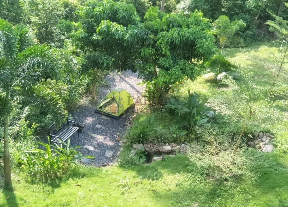 Garden1