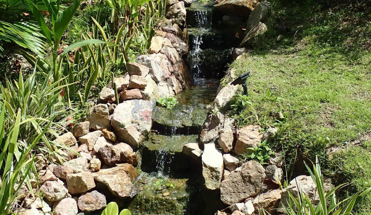 Garden2