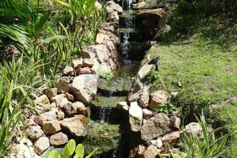 Garden2