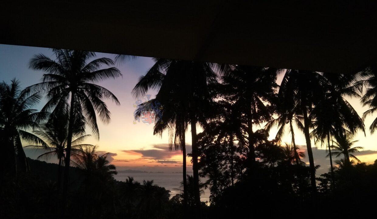 IMG20221128181330