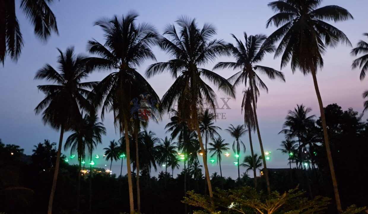 ViewA