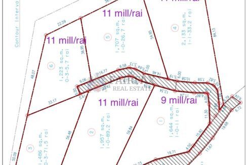 WhatsApp Image 2026-05-05 at 14.27.06