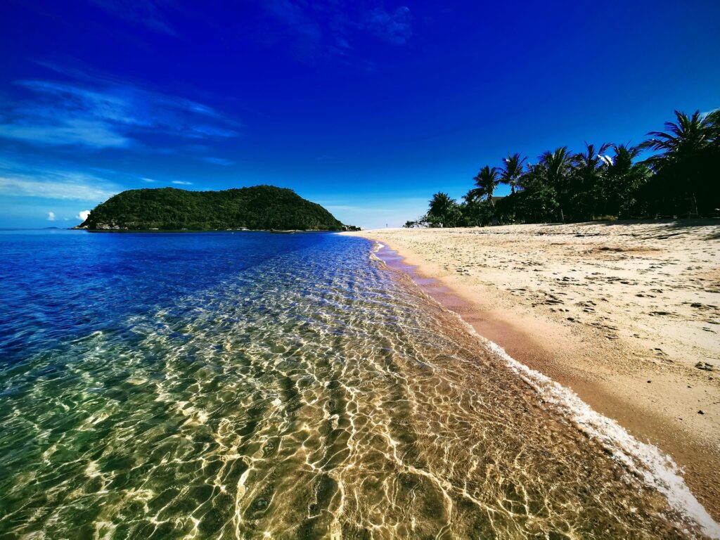 Guide to Living on the Island