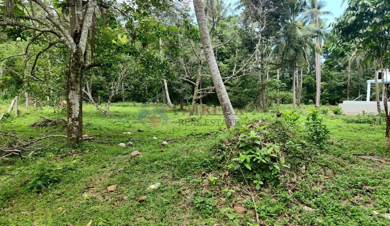 back corner of land