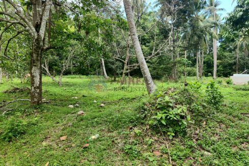 back corner of land