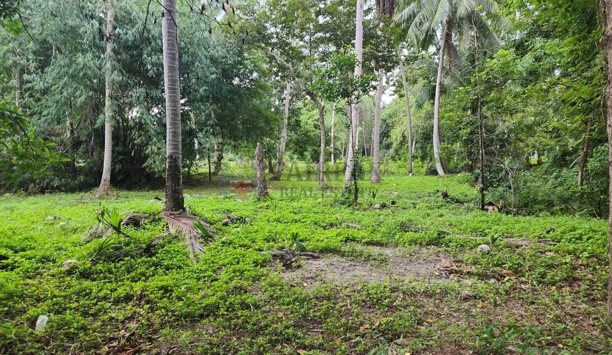land