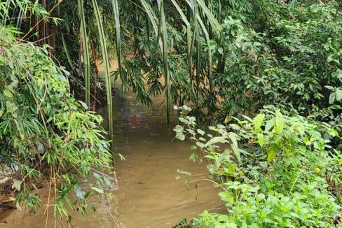 stream1