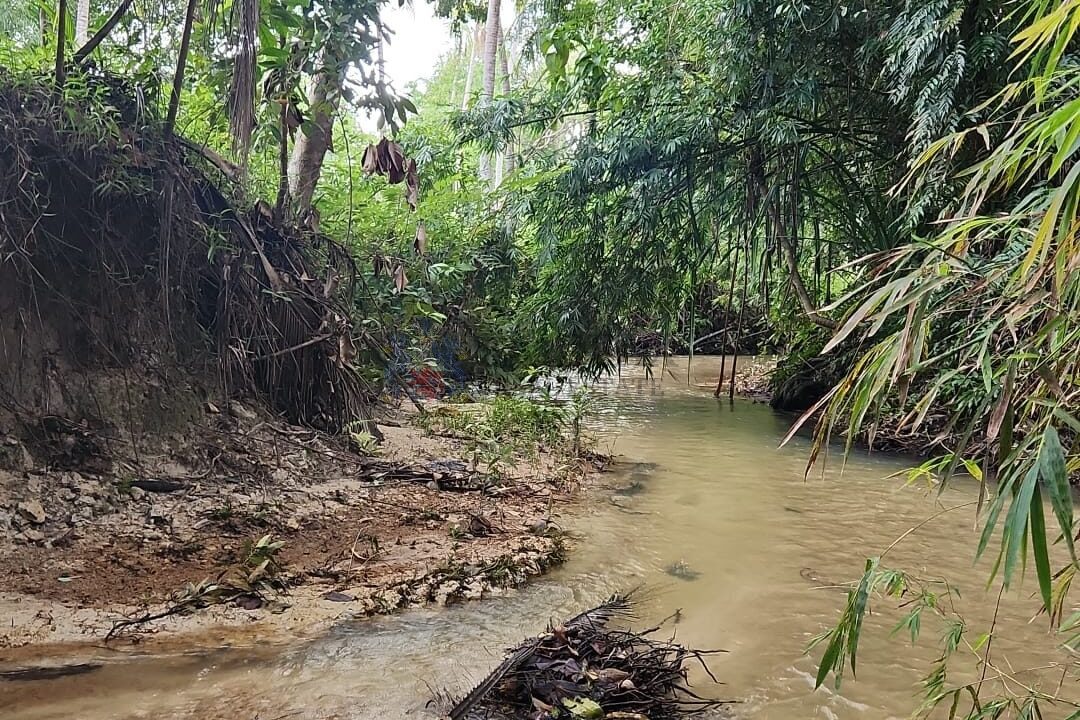 stream2