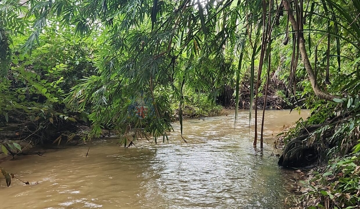 stream3