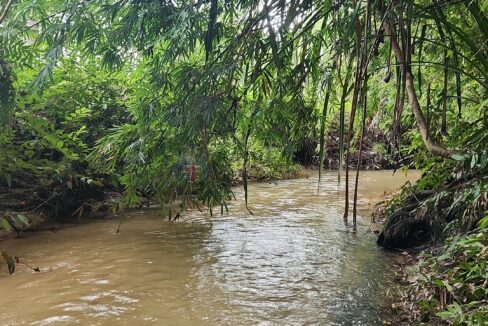 stream3