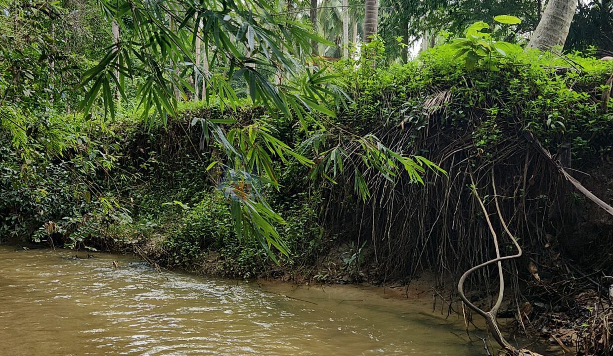 stream4