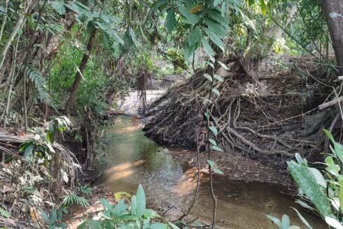 stream5
