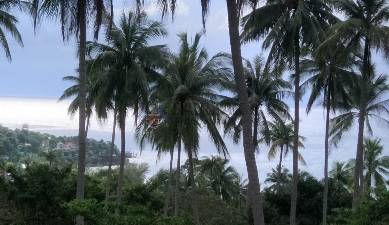 view6