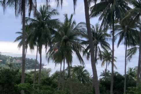 view6