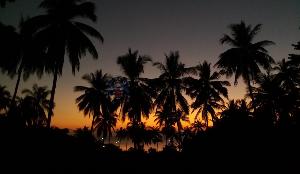view7