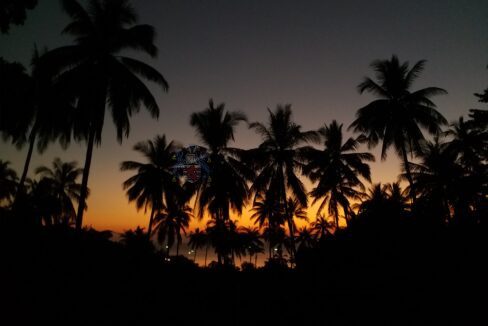 view7