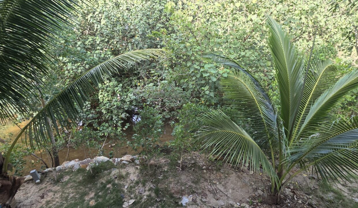 WhatsApp Image 2026-06-19 at 17.04.17