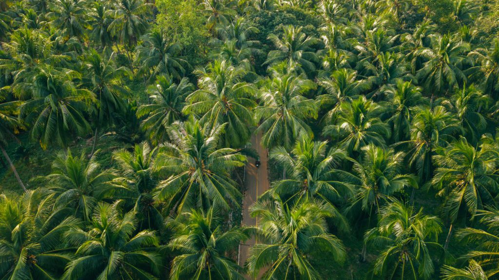 Can a Foreigner Own Land in Thailand?