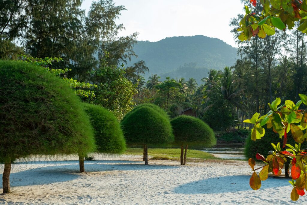 Choose the Right Area of Koh Phangan