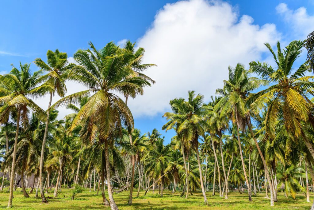 Can a Foreigner Own Land in Koh Samui?