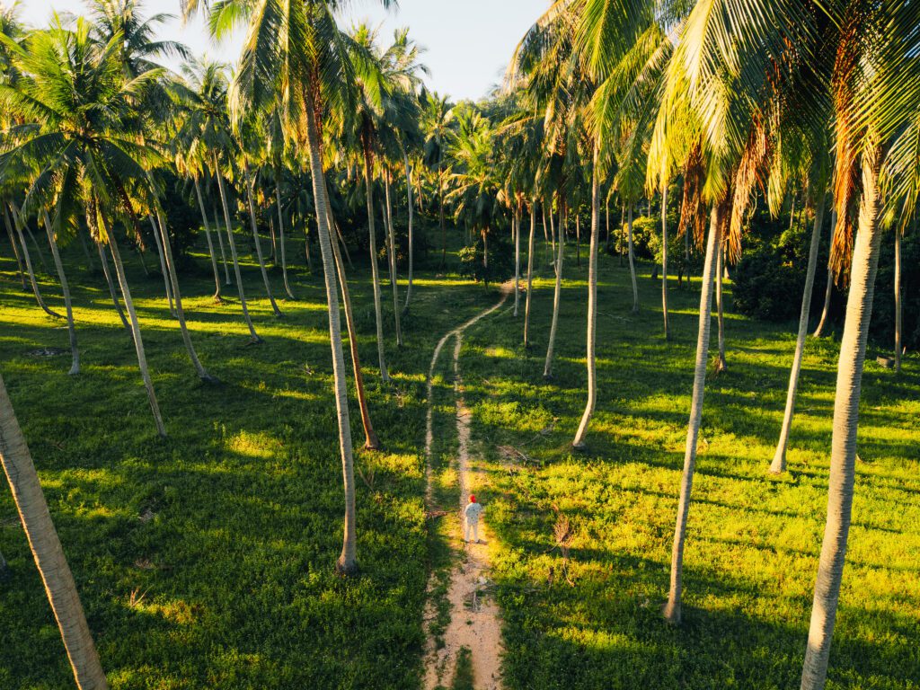 Quick Guide to the Best Areas to Live in Koh Phangan